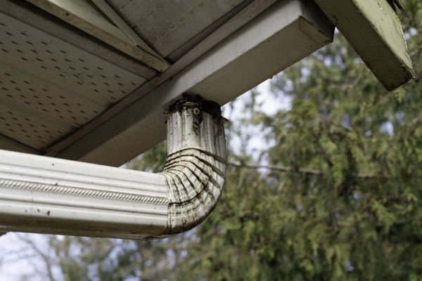 Downspout Cleaning in Sanford