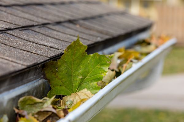 Cost of Gutter Leaves Removal in Sanford