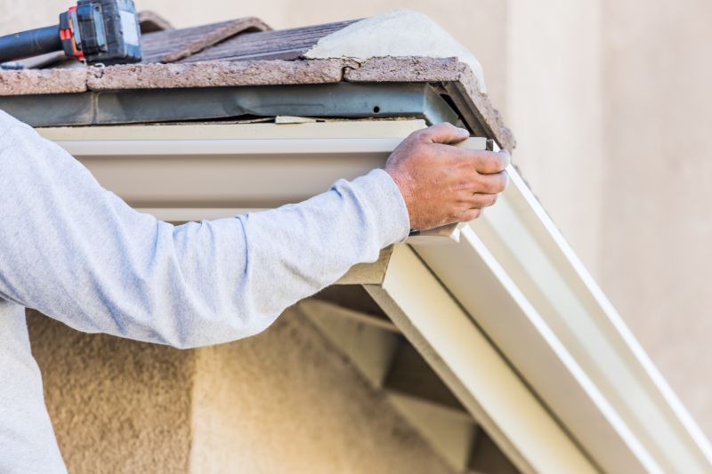 Gutter Maintenance detail